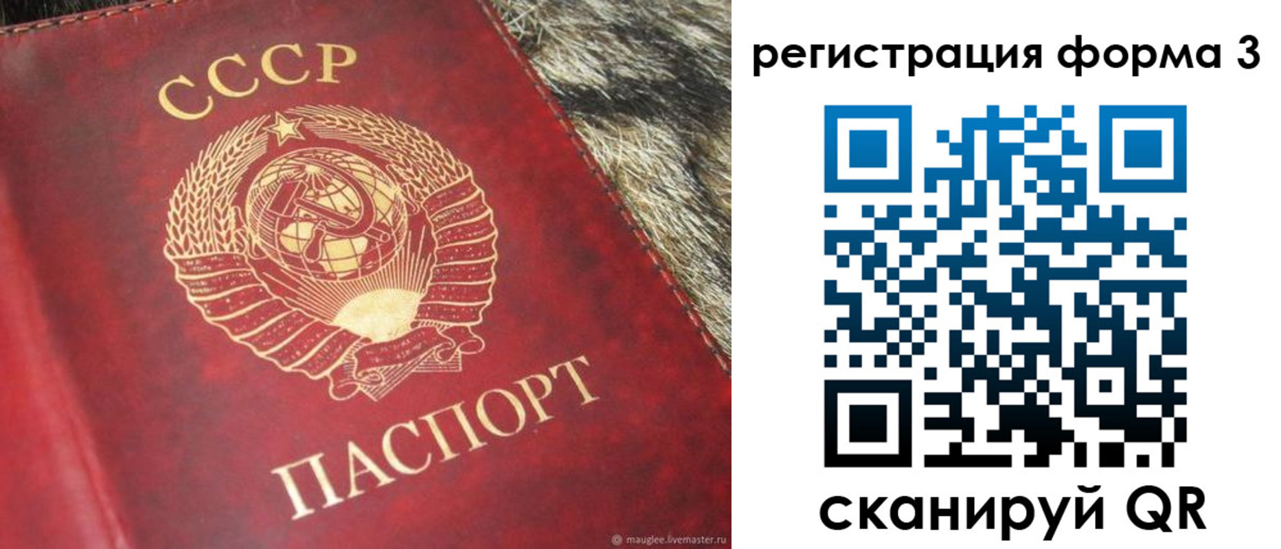 прописка регистрация в Менделеевске